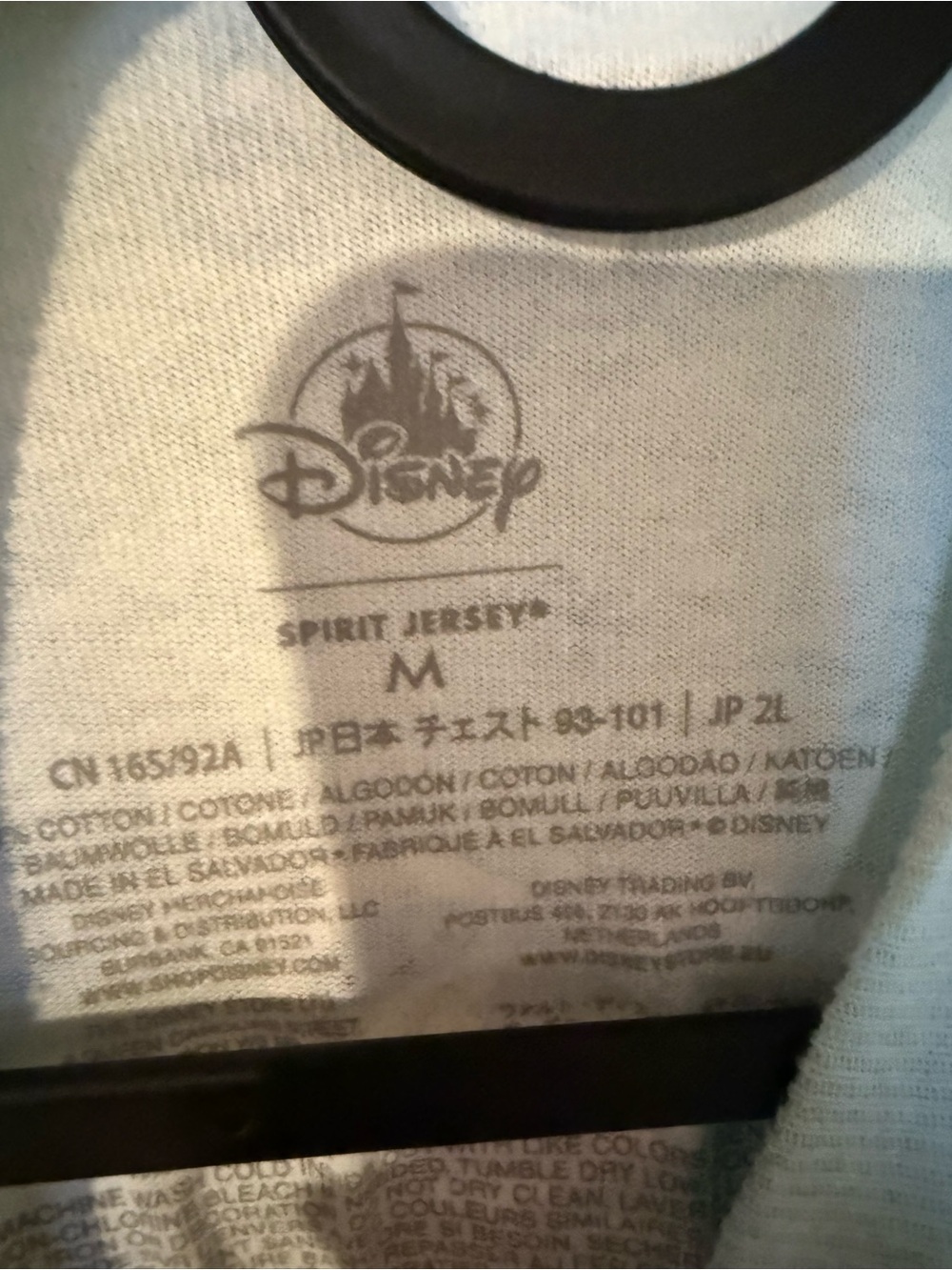 Disney Cream Jersey Spirit Sweatshirt with Gray Logo - Picture 2 of 3